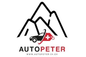 Logo AutoPeter 24